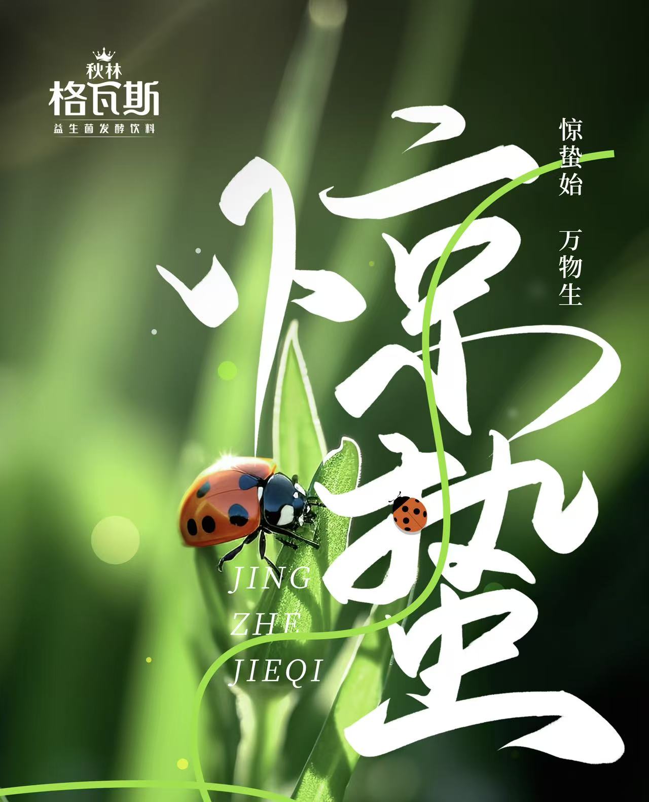 9b3ebc681dd3526d2ccd8a171c70d09a.jpg